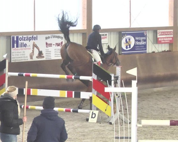 Reitturnier Dettingen 2018