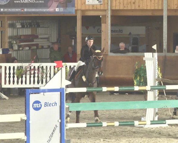 Reitturnier Dettingen 2018