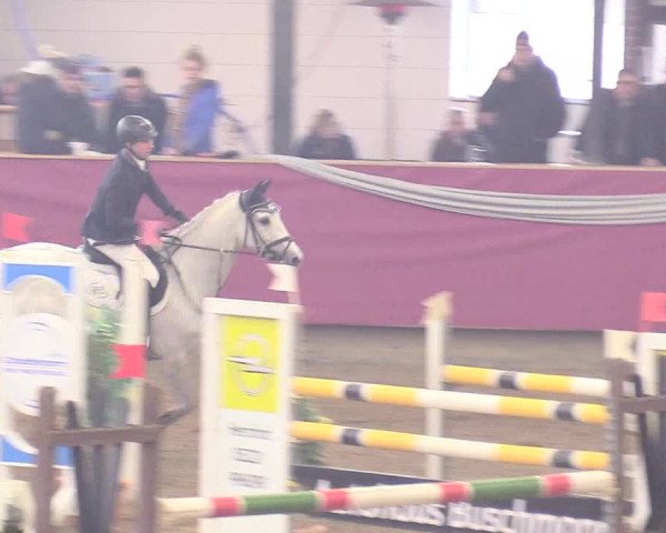 Reitturnier Vlotho-Exter 2018