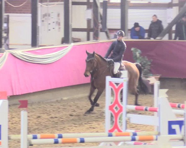 Reitturnier Vlotho-Exter 2018