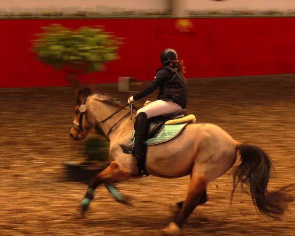 Reitturnier Münchehofe 2018