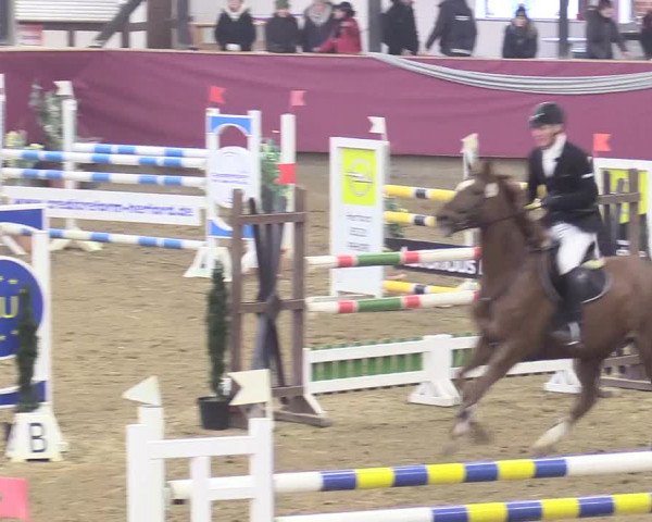 Reitturnier Vlotho-Exter 2018