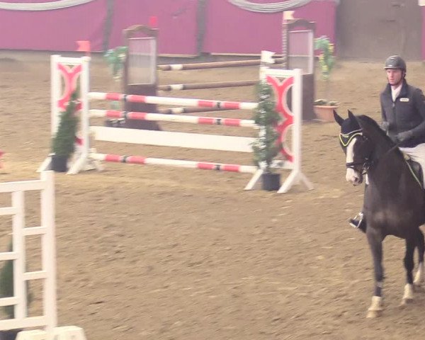 Reitturnier Vlotho-Exter 2018
