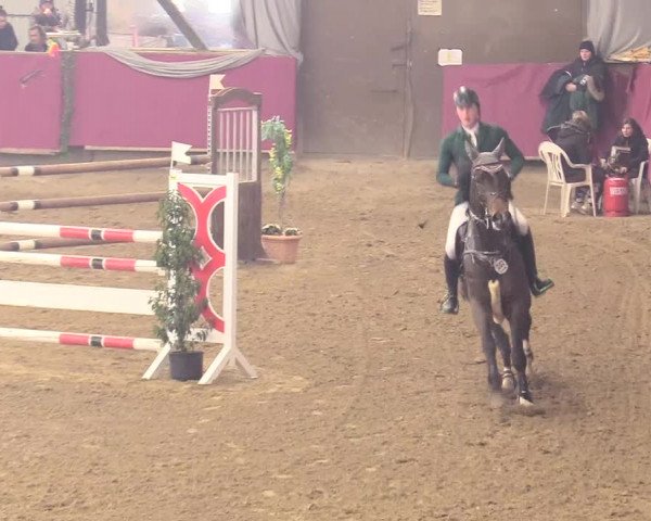Reitturnier Vlotho-Exter 2018