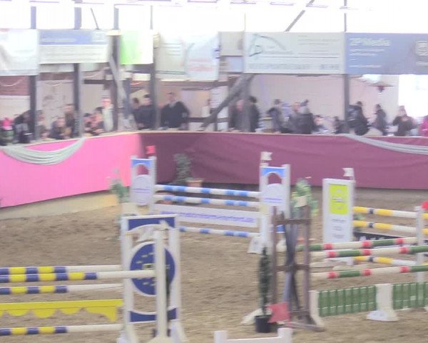 Reitturnier Vlotho-Exter 2018