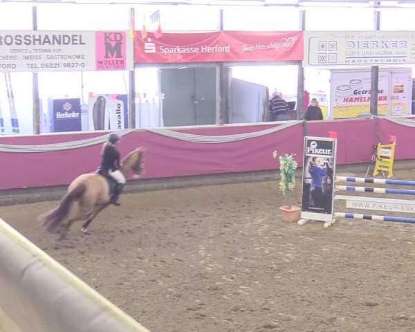 Reitturnier Vlotho-Exter 2018