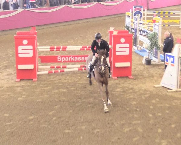 Reitturnier Vlotho-Exter 2018