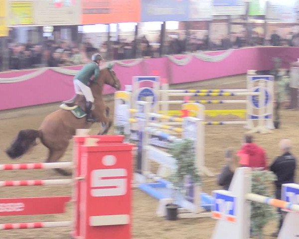 Reitturnier Vlotho-Exter 2018