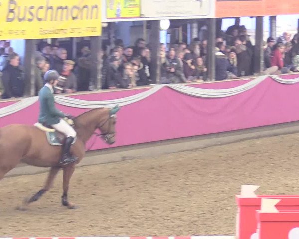 Reitturnier Vlotho-Exter 2018