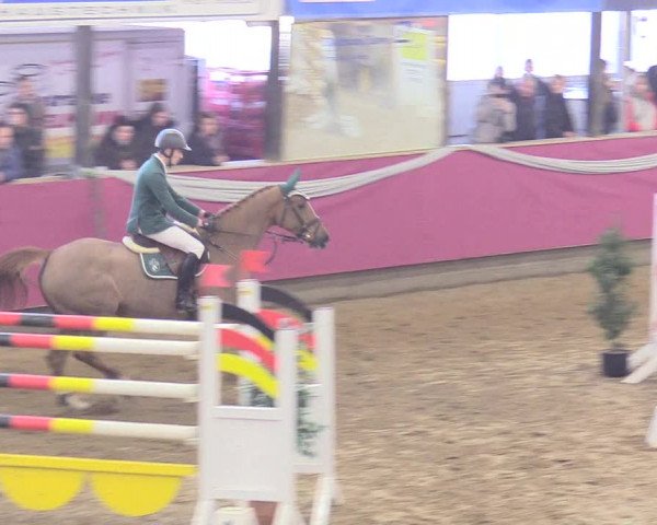 Reitturnier Vlotho-Exter 2018