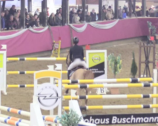 Reitturnier Vlotho-Exter 2018