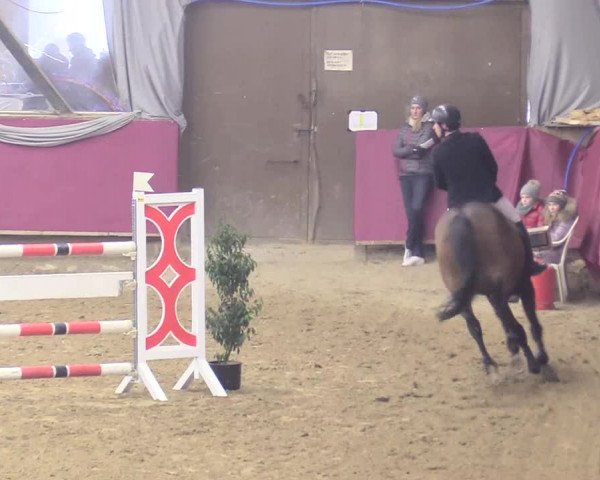 Reitturnier Vlotho-Exter 2018
