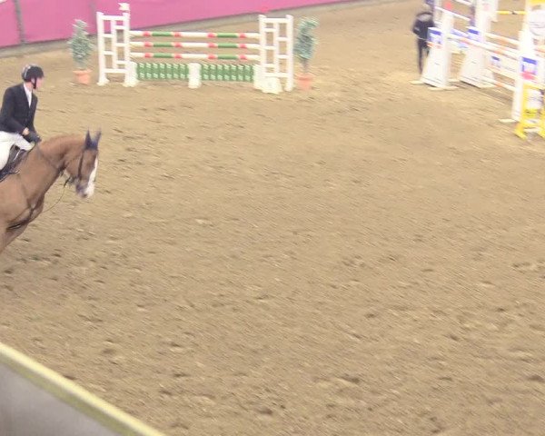 Reitturnier Vlotho-Exter 2018