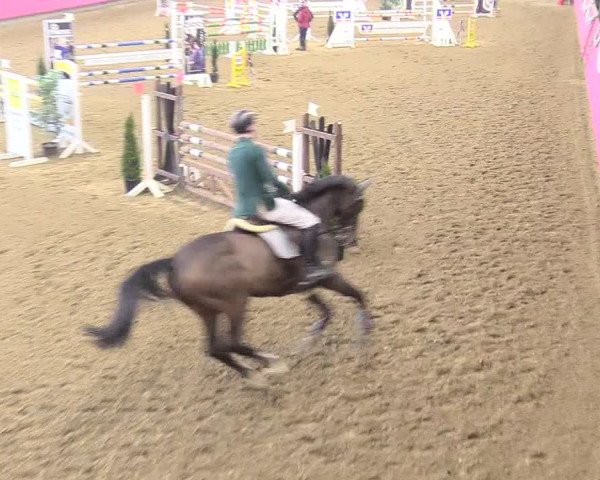 Reitturnier Vlotho-Exter 2018