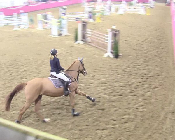 Reitturnier Vlotho-Exter 2018