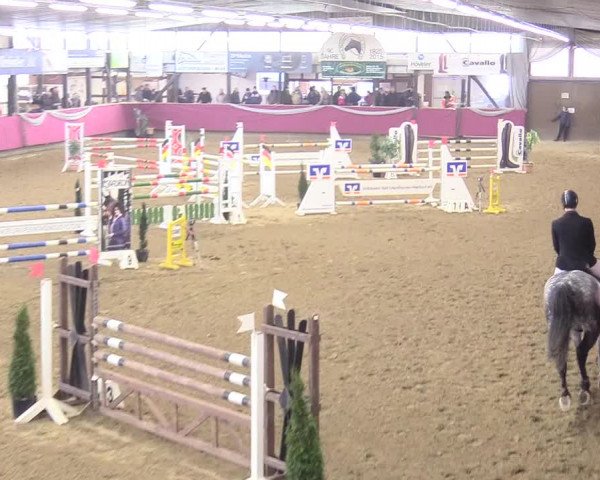 Reitturnier Vlotho-Exter 2018