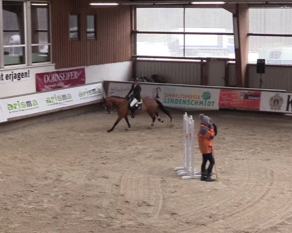 Reitturnier Kreuztal 2018