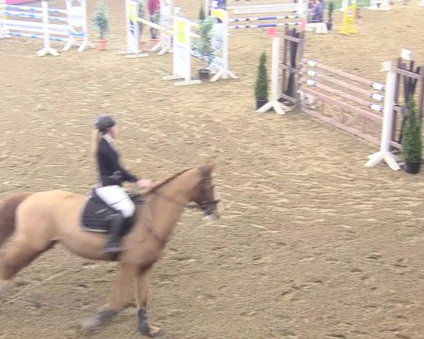 Reitturnier Vlotho-Exter 2018