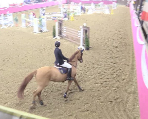 Reitturnier Vlotho-Exter 2018