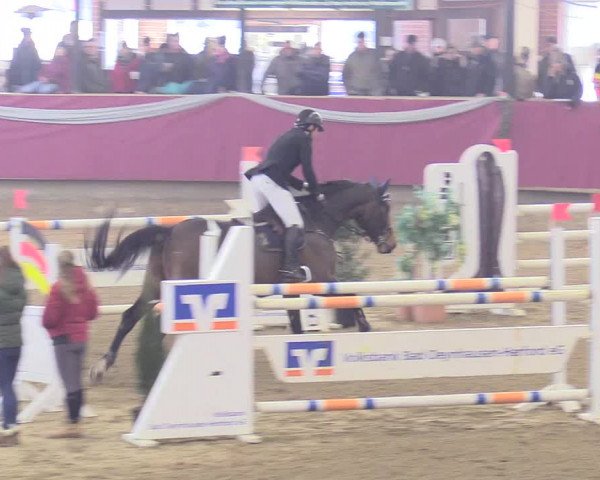 Reitturnier Vlotho-Exter 2018