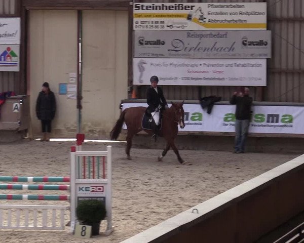 Reitturnier Kreuztal 2018