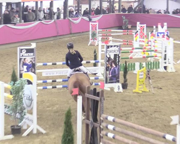Reitturnier Vlotho-Exter 2018