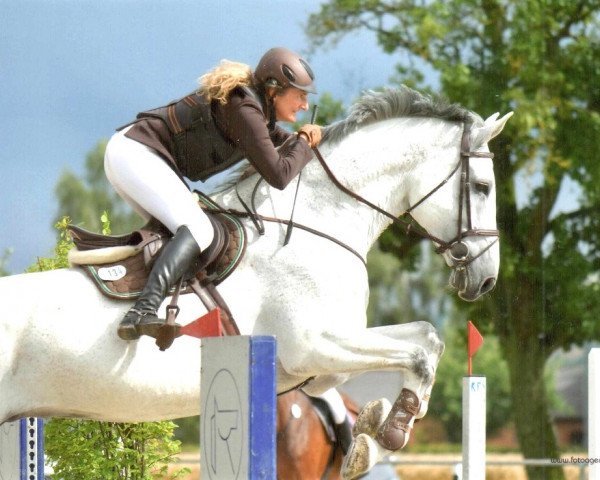 Springpferd Campino H 2 (Oldenburger Springpferd, 2006, von Calato)