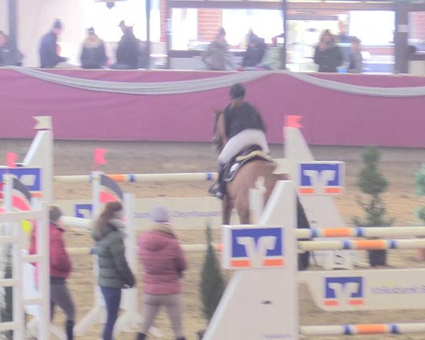 Reitturnier Vlotho-Exter 2018