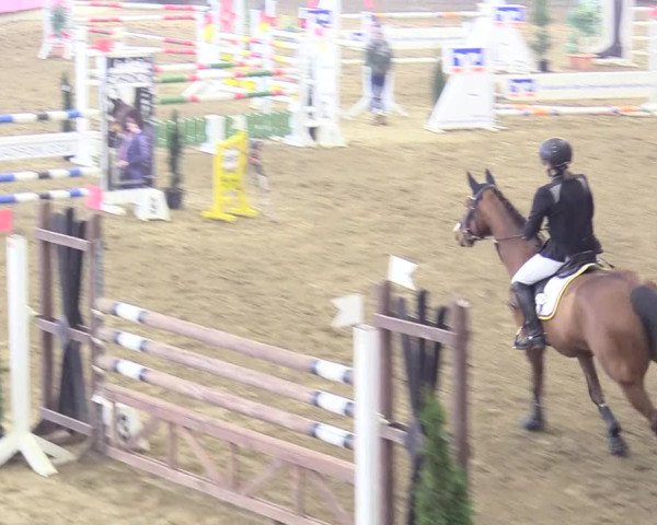 Reitturnier Vlotho-Exter 2018