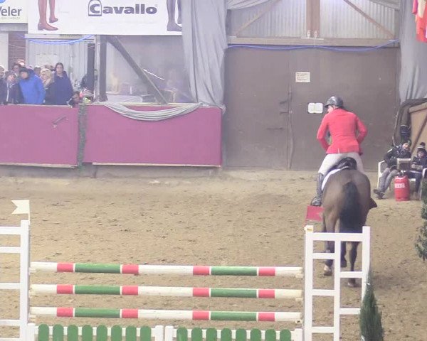 Reitturnier Vlotho-Exter 2018