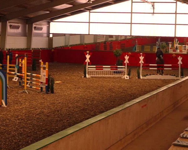 Reitturnier Münchehofe 2018
