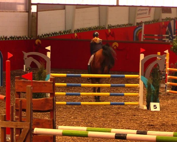 Reitturnier Münchehofe 2018