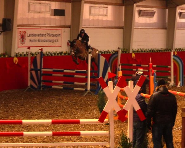 Reitturnier Münchehofe 2018