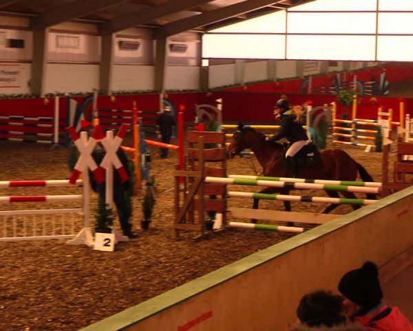 Reitturnier Münchehofe 2018