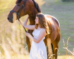 dressage horse Fantastic Fidefix (Westphalian, 2007, from Flovino)