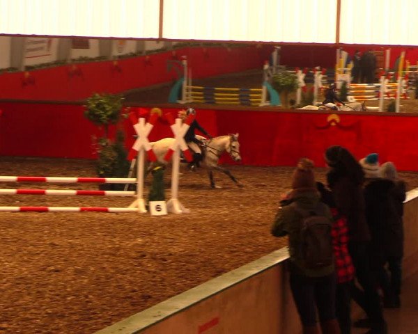 Reitturnier Münchehofe 2018