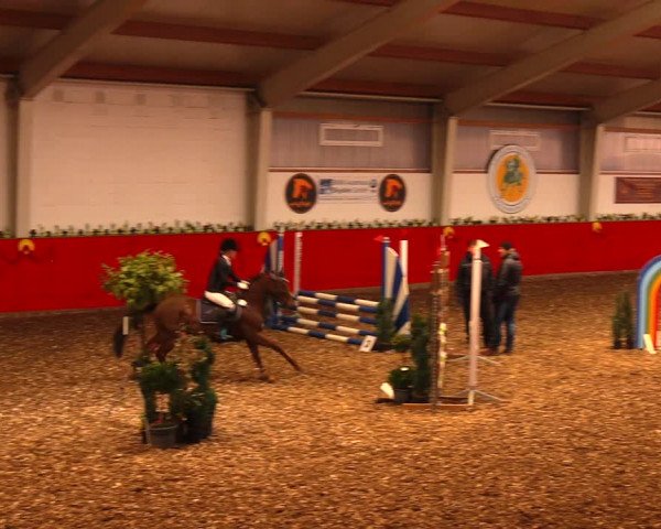 Reitturnier Münchehofe 2018