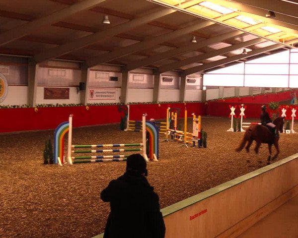 Reitturnier Münchehofe 2018