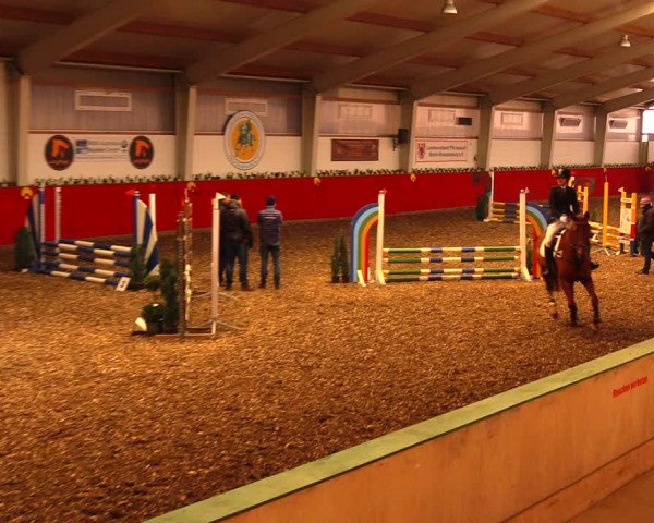 Reitturnier Münchehofe 2018