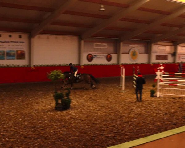 Reitturnier Münchehofe 2018