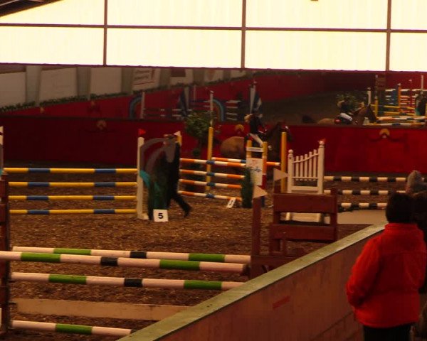 Reitturnier Münchehofe 2018