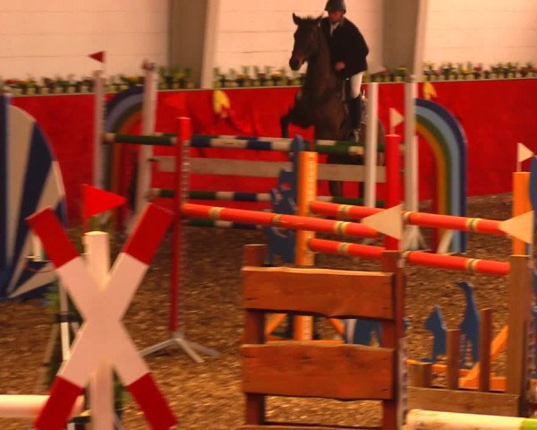 Reitturnier Münchehofe 2018