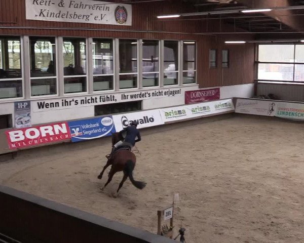 Reitturnier Kreuztal 2018