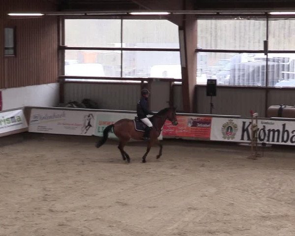Reitturnier Kreuztal 2018