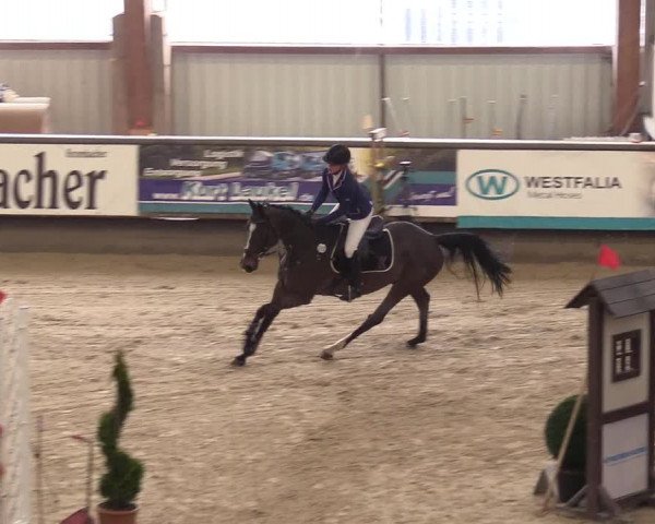 Reitturnier Kreuztal 2018