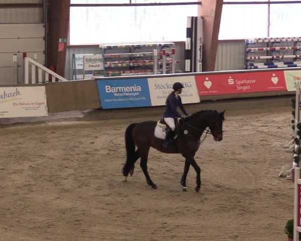 Reitturnier Kreuztal 2018