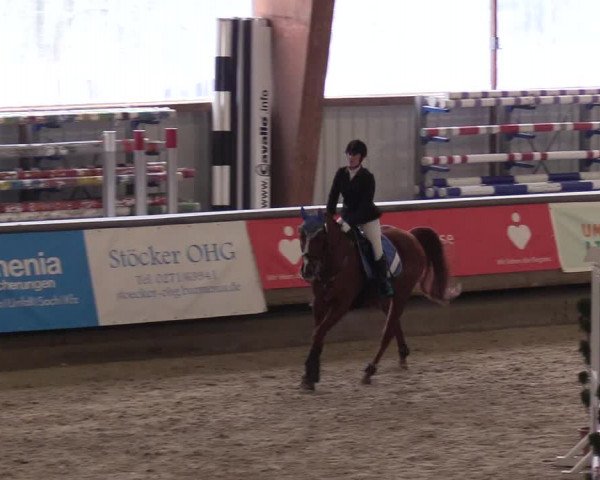 Reitturnier Kreuztal 2018