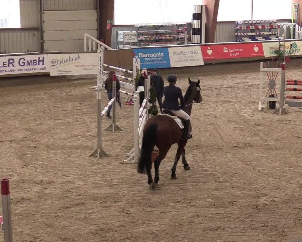 Reitturnier Kreuztal 2018