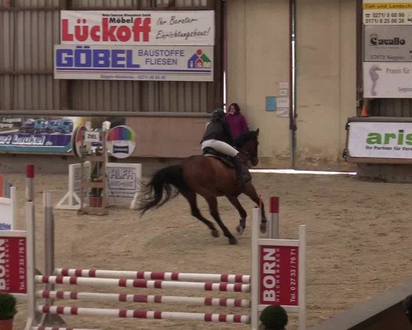 Reitturnier Kreuztal 2018
