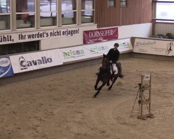Reitturnier Kreuztal 2018